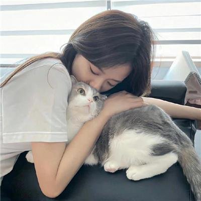 热线诉心声粤语